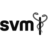 logo_svm